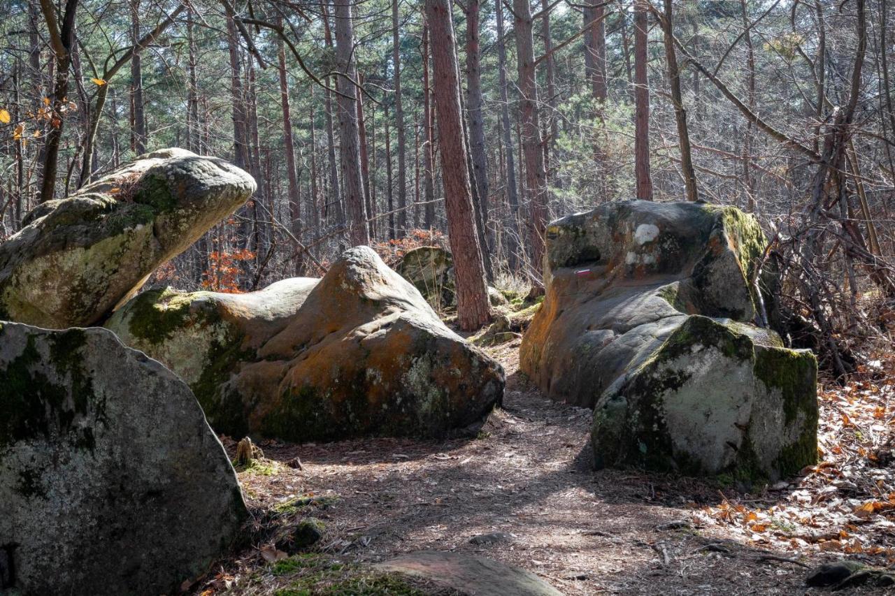 Logisfontainebleau Bed and Breakfast Villiers-sous-Grez Exterior foto