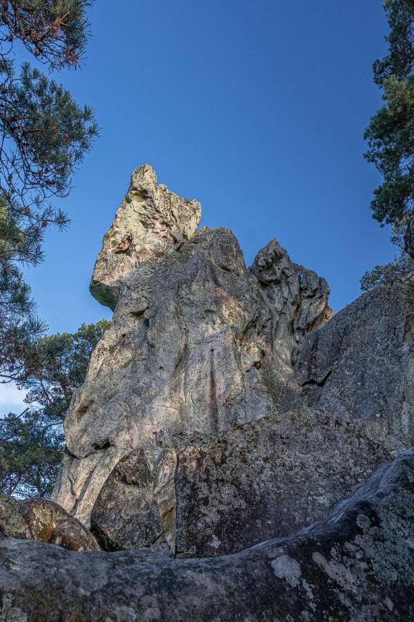 Logisfontainebleau Bed and Breakfast Villiers-sous-Grez Exterior foto